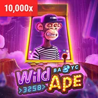 TOPBET Tiger Reel